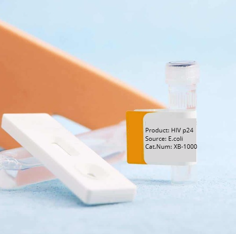 [XB-1000] HIV-1 p24 ELISA Kit, 96 wells